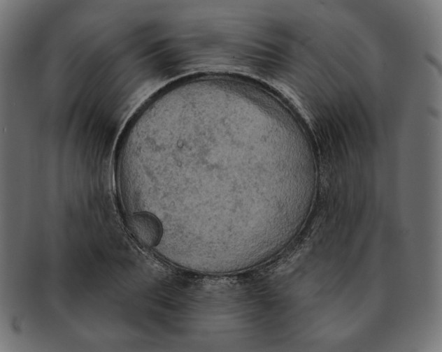 X0000091510887200709070951