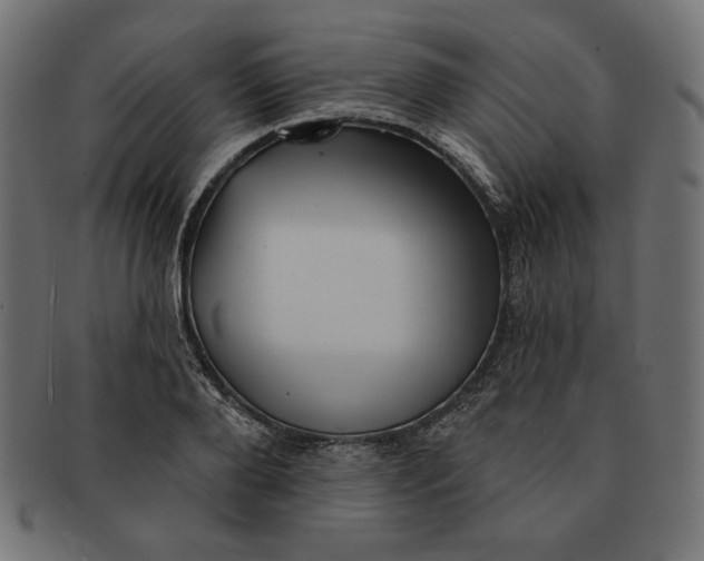 X0000091510888200709070951