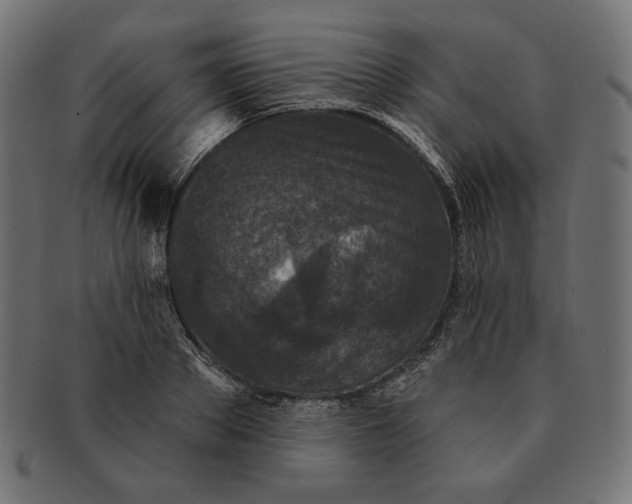 X0000091510889200709070951