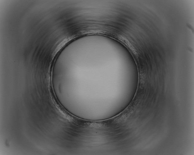 X0000091510890200709070951