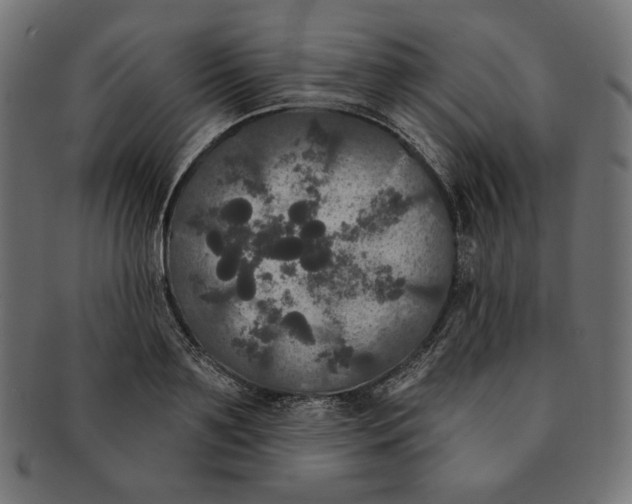 X0000091510891200709070951