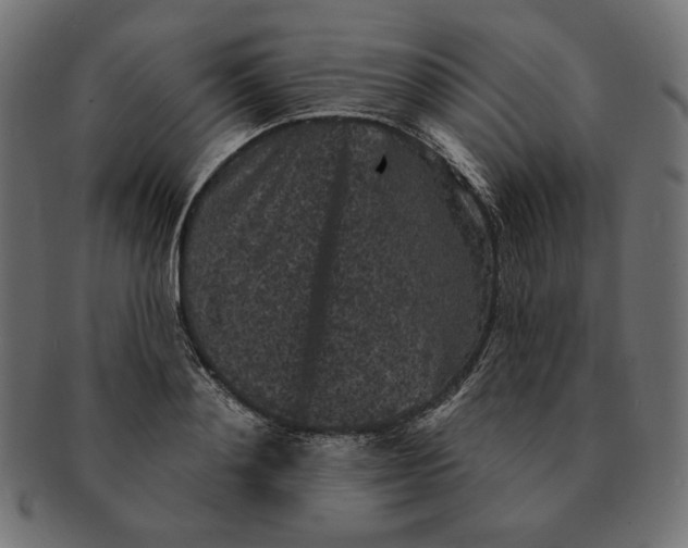 X0000091510892200709070951