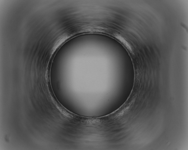 X0000091510893200709070951