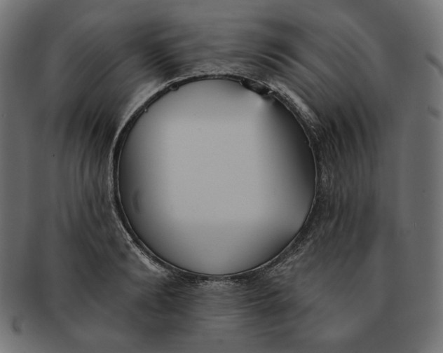 X0000091510894200709070951