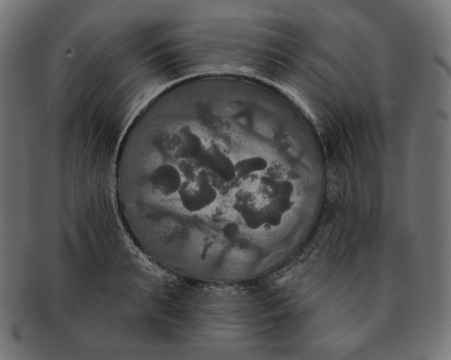 X0000091510895200709070951