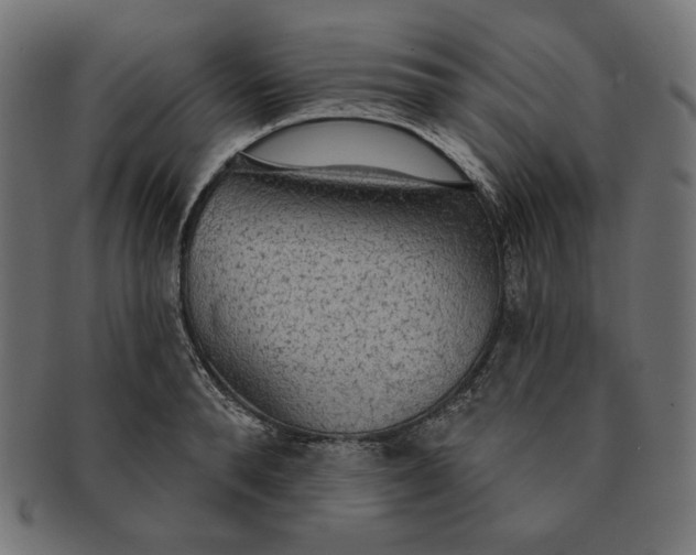 X0000091510896200709070951