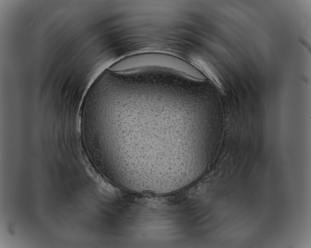 X0000091510900200709070950