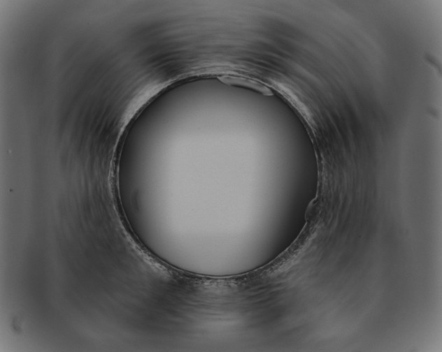 X0000091510901200709070950