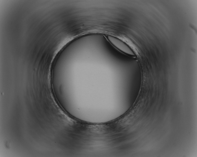 X0000091510902200709070950