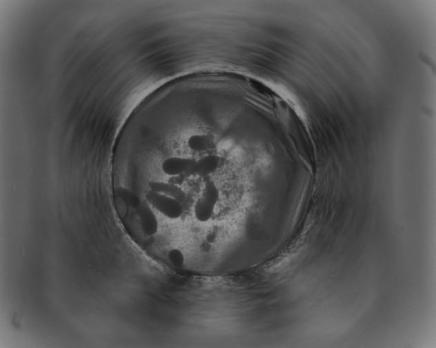 X0000091510903200709070950