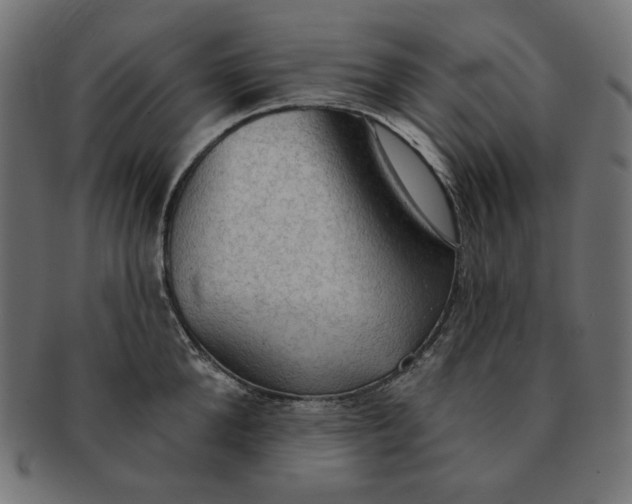 X0000091510904200709070950