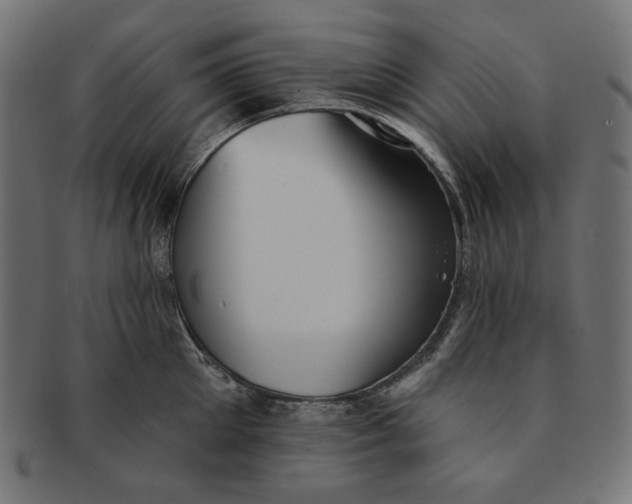 X0000091510905200709070950