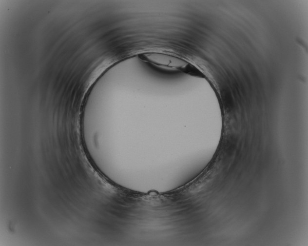 X0000091510906200709070950