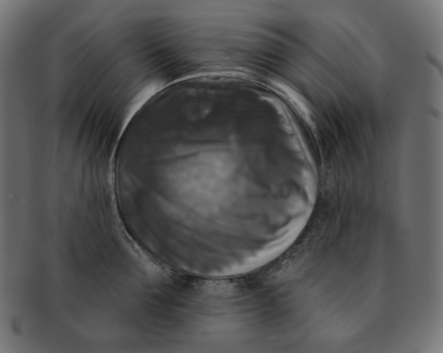 X0000091510907200709070950