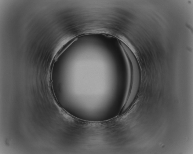 X0000091510909200709070950