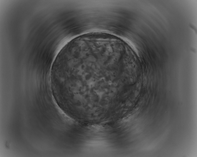 X0000091510911200709070950