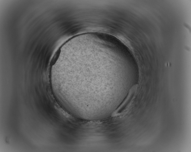 X0000091510912200709070950