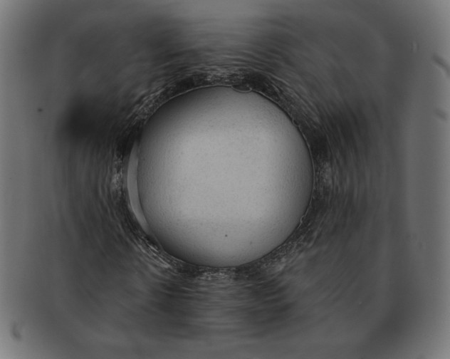 X0000091510914200709070949