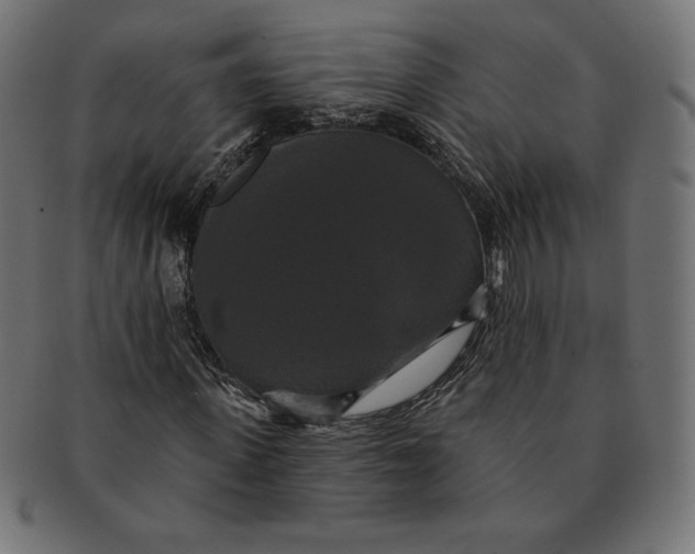 X0000091510915200709070949