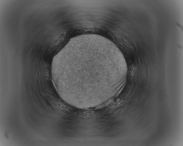 X0000091510916200709070950