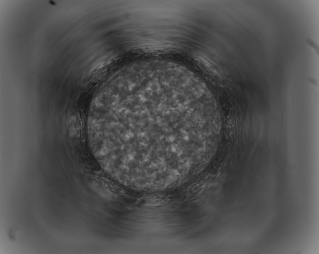 X0000091510917200709070950