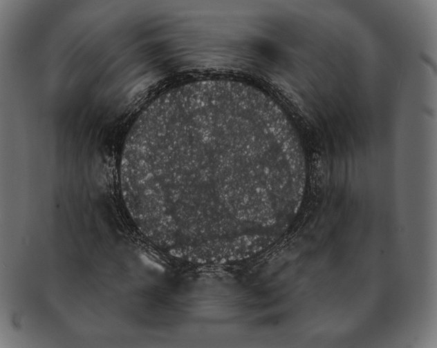 X0000091510918200709070950