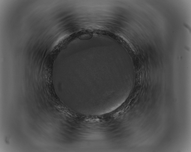 X0000091510919200709070950