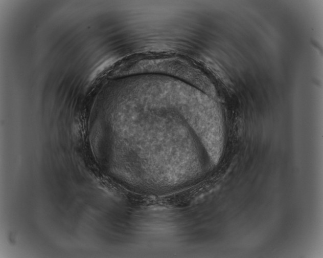 X0000091510920200709070950