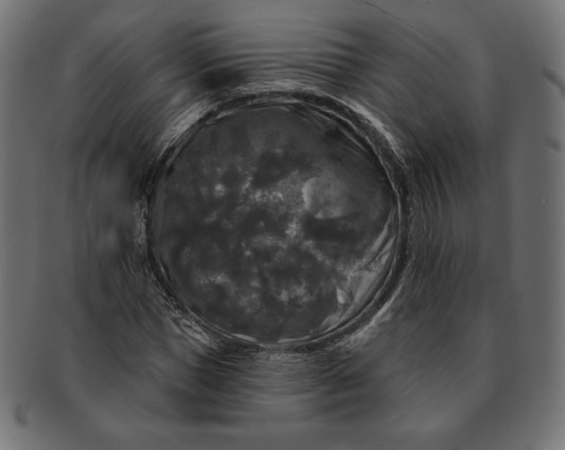 X0000091510921200709070950