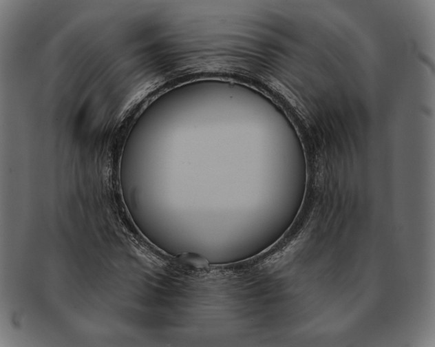 X0000091510922200709070950