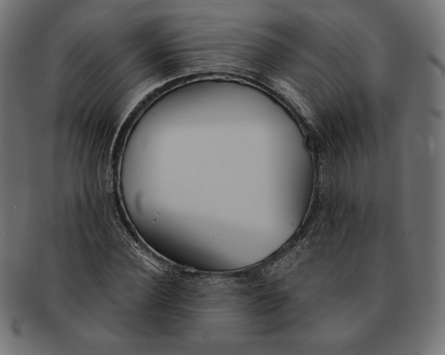 X0000091510924200709070950