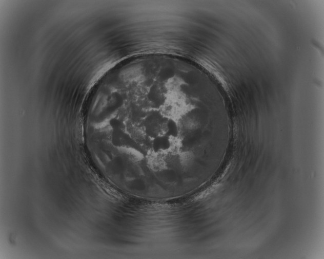 X0000091510925200709070950