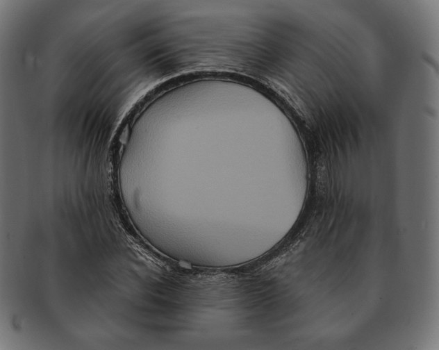 X0000091510926200709070950