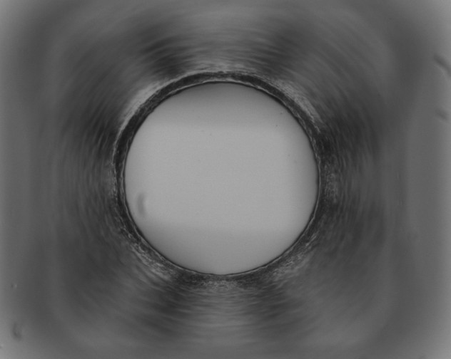 X0000091510927200709070950