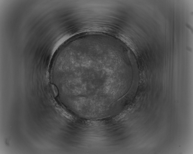 X0000091510928200709070950