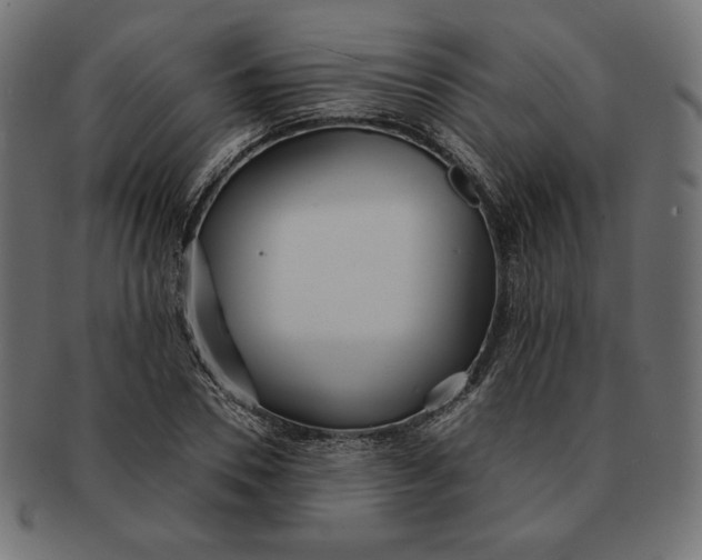 X0000091510930200709070950