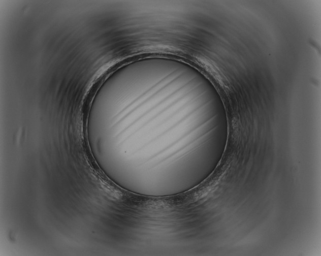 X0000091510931200709070950