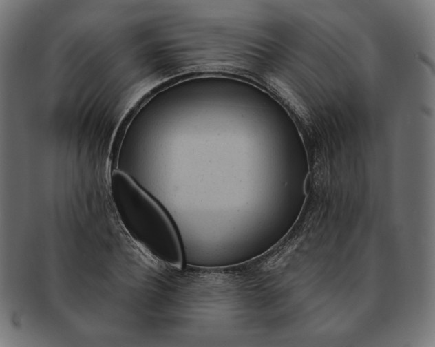 X0000091510932200709070950