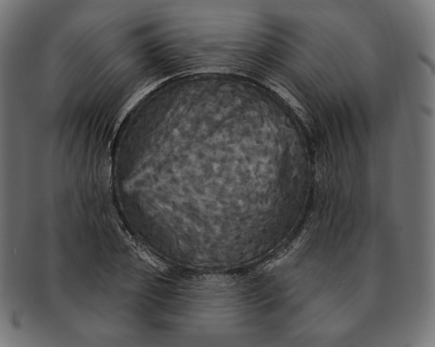 X0000091510933200709070950