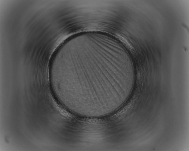 X0000091510934200709070950