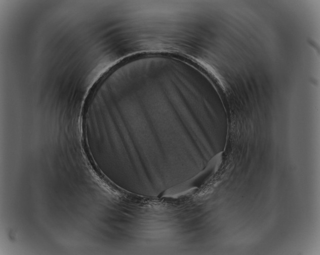 X0000091510935200709070950