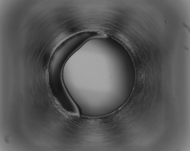 X0000091510936200709070950