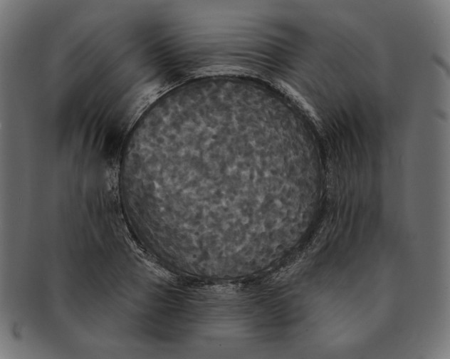 X0000091510937200709070950