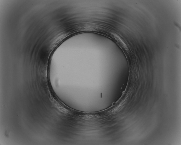 X0000091510938200709070950