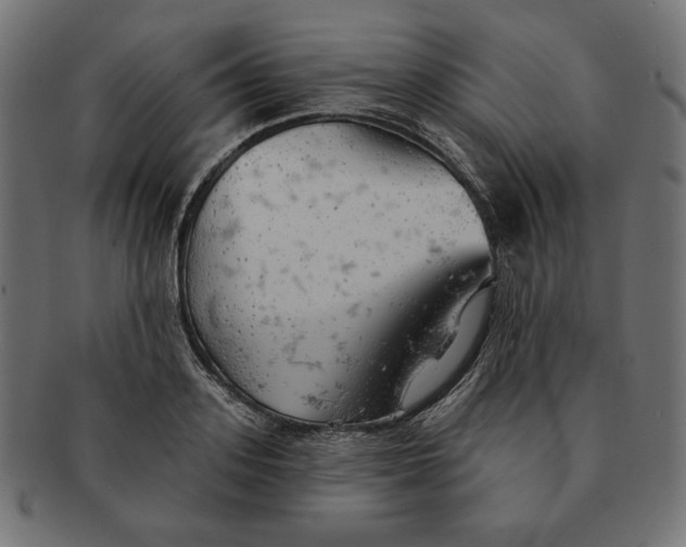 X0000091510939200709070950