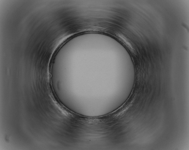 X0000091510940200709070950