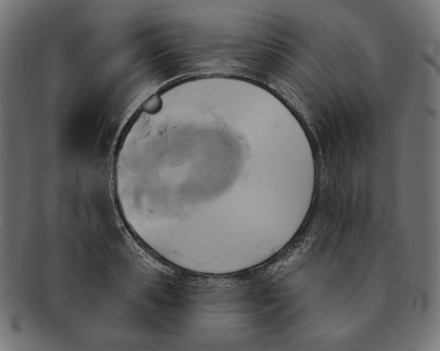 X0000091510941200709070950