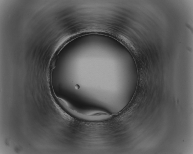 X0000091510942200709070950