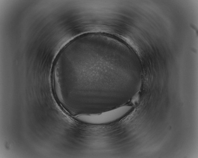 X0000091510943200709070950