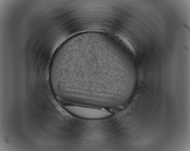 X0000091510944200709070950